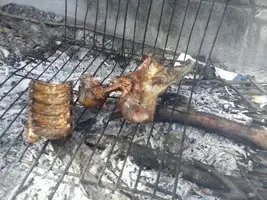 1490879392489.webp 1490879392489.webp