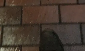 Screenshot_48.webp Screenshot_48.webp