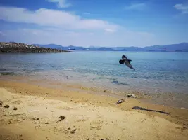 IMG_20200502_115258_1.jpg IMG_20200502_115258_1.jpg