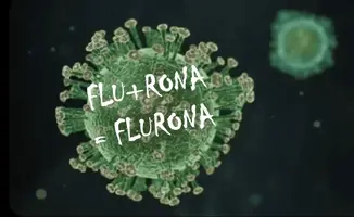 external-content.duckduckgo.webp external-content.duckduckgo.webp