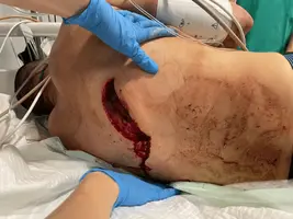 1642078367939.webp 1642078367939.webp