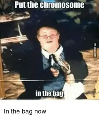 1642108336768.webp 1642108336768.webp