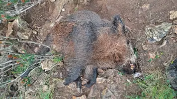 20220205_144412.webp 20220205_144412.webp