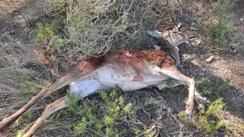 20220206_154847.webp 20220206_154847.webp