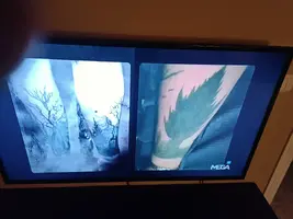 IMG_20220219_222902.jpg IMG_20220219_222902.jpg