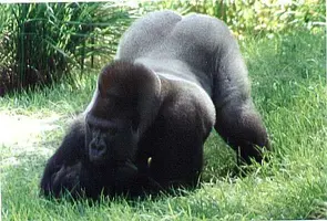 092A673C-38E9-4495-8133-B7F158865CC9.webp 092A673C-38E9-4495-8133-B7F158865CC9.webp