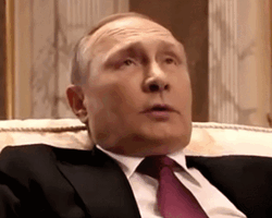 ezgif.com-gif-maker (1).gif ezgif.com-gif-maker (1).gif