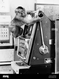 1648384553586.webp 1648384553586.webp