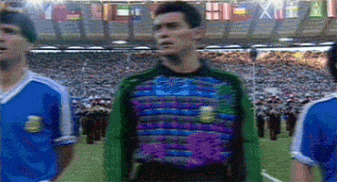 BouncyAmpleEchidna-size_restricted.gif BouncyAmpleEchidna-size_restricted.gif