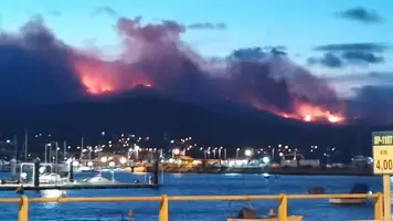 1659651988672.webp 1659651988672.webp