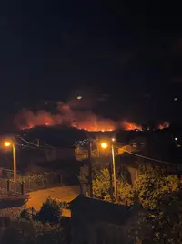 1659652026563.webp 1659652026563.webp