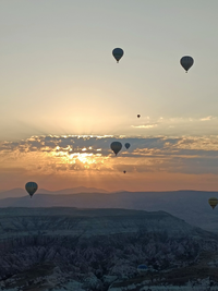 IMG_20220811_061343.webp IMG_20220811_061343.webp