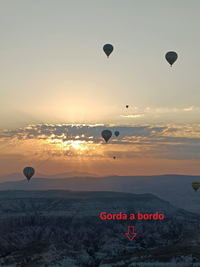 IMG_20220811_061343.jpg IMG_20220811_061343.jpg