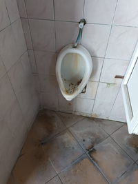 IMG_20220811_113618.webp IMG_20220811_113618.webp