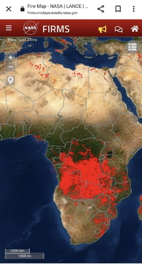 1660229901299.webp 1660229901299.webp