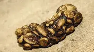 1660487085586.webp 1660487085586.webp