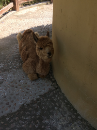 3078ED1D-4C34-4F28-B2E6-F728586EF5F0.webp 3078ED1D-4C34-4F28-B2E6-F728586EF5F0.webp