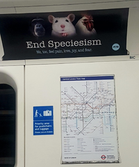 WhatsApp Image 2022-09-14 at 16.44.52.webp WhatsApp Image 2022-09-14 at 16.44.52.webp