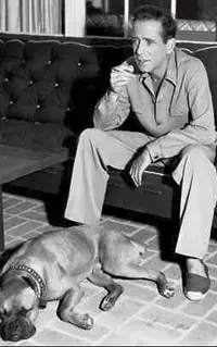 1664441307992.webp 1664441307992.webp