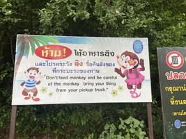 D95FE0B7-1123-49F3-8C53-86480D745642.webp D95FE0B7-1123-49F3-8C53-86480D745642.webp