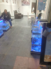 IMG20221014211625.webp IMG20221014211625.webp