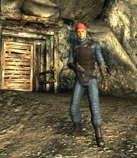 cenobita tontolaba.webp cenobita tontolaba.webp