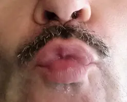 1668094812938.webp 1668094812938.webp