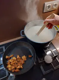 20221111_002138.jpg 20221111_002138.jpg