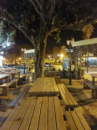 20221201_234904.webp 20221201_234904.webp