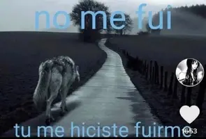 IMG_20221212_195026.jpg IMG_20221212_195026.jpg