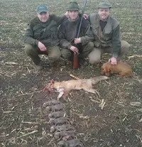 Screenshot_5.webp Screenshot_5.webp