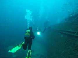 27363055-0F02-43D6-BE84-7E5E679CEEB7.webp 27363055-0F02-43D6-BE84-7E5E679CEEB7.webp