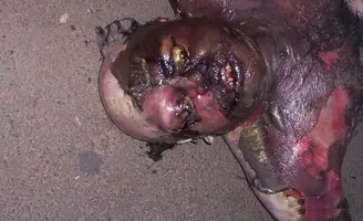 93E7AD23-ACF3-4ABE-B60F-17690E4B4DA0.webp 93E7AD23-ACF3-4ABE-B60F-17690E4B4DA0.webp