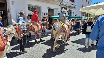 20230407_142203.webp 20230407_142203.webp