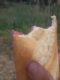 20230429_134308.webp 20230429_134308.webp