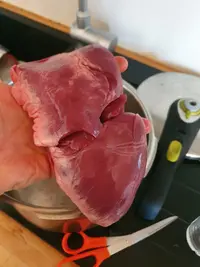 20230507_153645.webp 20230507_153645.webp