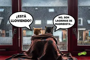 20230518_091426.webp 20230518_091426.webp