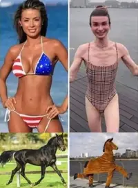 photo_2023-05-22 08.56.07.webp photo_2023-05-22 08.56.07.webp