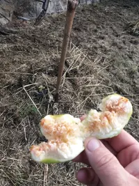 20230610_094346.webp 20230610_094346.webp