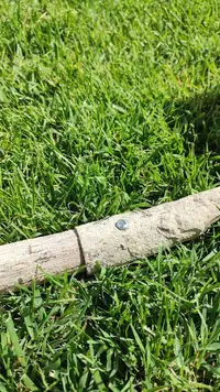 IMG_20230709_171810.jpg IMG_20230709_171810.jpg