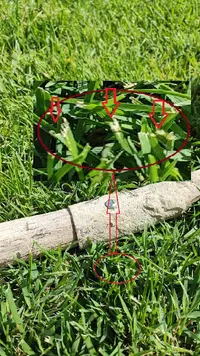 IMG_20230709_171810.webp IMG_20230709_171810.webp