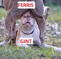 kBShwD2.webp kBShwD2.webp