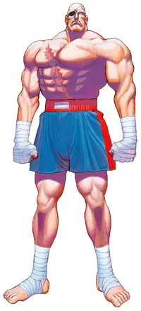 1691563073483.webp 1691563073483.webp