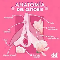 1692692119677.jpeg 1692692119677.jpeg