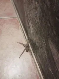 IMG_20230902_001001.jpg IMG_20230902_001001.jpg