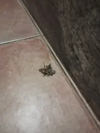 IMG_20230902_001537.jpg IMG_20230902_001537.jpg