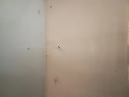 IMG_20230903_102036.webp IMG_20230903_102036.webp