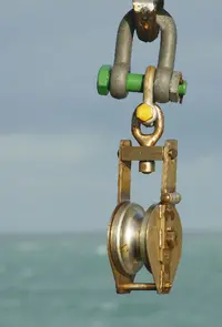 ROLDANA.webp ROLDANA.webp