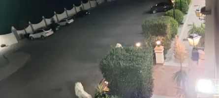 IMG_20231011_213159.webp IMG_20231011_213159.webp