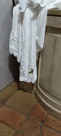 IMG_20231011_230944.webp IMG_20231011_230944.webp